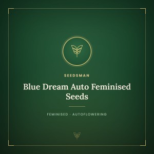 Blue Dream Auto Feminised Seeds