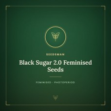 Black Sugar 2.0 Feminised Seeds Black Sugar 2.0 Feminised Seeds