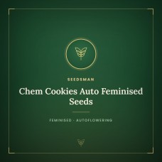 Chem Cookies Auto Feminised Seeds Chem Cookies Auto Feminised Seeds