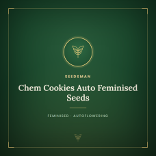 Chem Cookies Auto Feminised Seeds Chem Cookies Auto Feminised Seeds