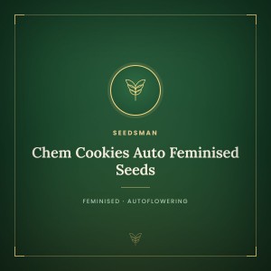 Chem Cookies Auto Feminised Seeds