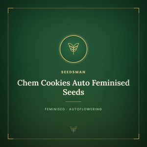 Chem Cookies Auto Feminised Seeds Chem Cookies Auto Feminised Seeds