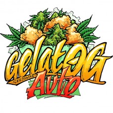 Gelat.OG Auto Feminised Seeds Gelat.OG Auto Feminised Seeds