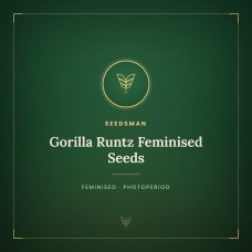 Gorilla Runtz Feminised Seeds Gorilla Runtz Feminised Seeds