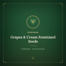 Grapes & Cream Feminised Seeds