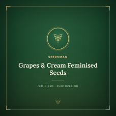 Grapes & Cream Feminised Seeds Grapes & Cream Feminised Seeds