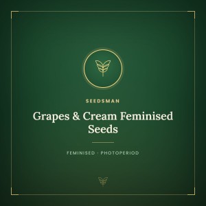 Grapes & Cream Feminised Seeds Grapes & Cream Feminised Seeds