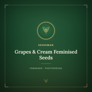 Grapes & Cream Feminised Seeds Grapes & Cream Feminised Seeds