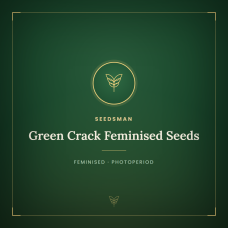 Green Crack Feminised Seeds Green Crack Feminised Seeds