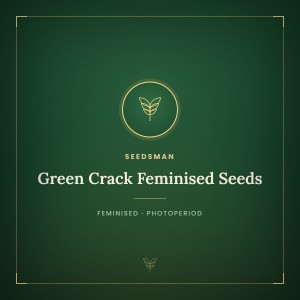 Green Crack Feminised Seeds Green Crack Feminised Seeds