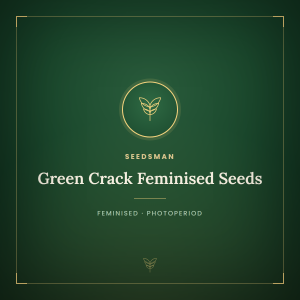Green Crack Feminised Seeds Green Crack Feminised Seeds