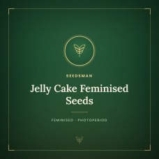 Jelly Cake Feminised Seeds