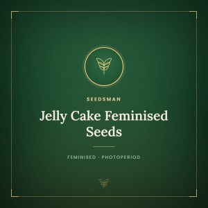 Jelly Cake Feminised Seeds