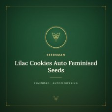 Lilac Cookies Auto Feminised Seeds Lilac Cookies Auto Feminised Seeds