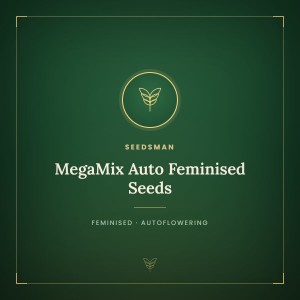 MegaMix Auto Feminised Seeds MegaMix Auto Feminised Seeds