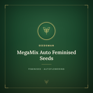 MegaMix Auto Feminised Seeds MegaMix Auto Feminised Seeds