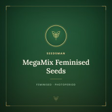 MegaMix Feminised Seeds MegaMix Feminised Seeds