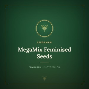 MegaMix Feminised Seeds