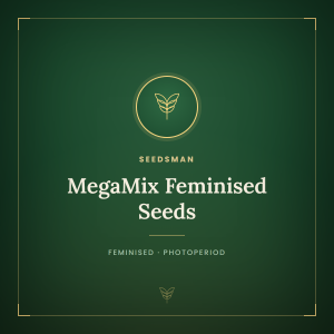 MegaMix Feminised Seeds MegaMix Feminised Seeds