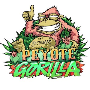 Peyote Gorilla Feminised Seeds