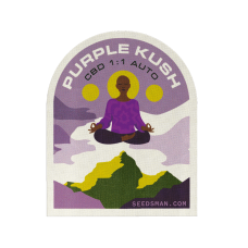 Purple Kush CBD 1:1 Auto Feminised Seeds Purple Kush CBD 1:1 Auto Feminised Seeds