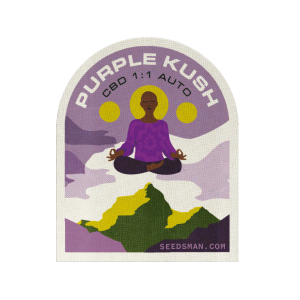 Purple Kush CBD 1:1 Auto Feminised Seeds Purple Kush CBD 1:1 Auto Feminised Seeds