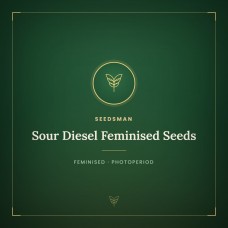 Sour Diesel Feminised Seeds Sour Diesel Feminised Seeds