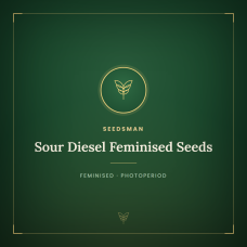 Sour Diesel Feminised Seeds Sour Diesel Feminised Seeds