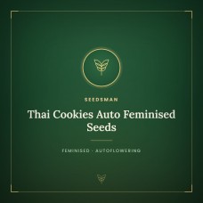 Thai Cookies Auto Feminised Seeds Thai Cookies Auto Feminised Seeds