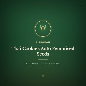 Thai Cookies Auto Feminised Seeds