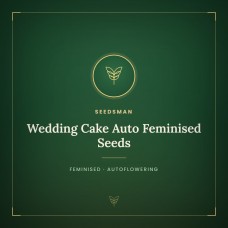 Wedding Cake Auto Feminised Seeds Wedding Cake Auto Feminised Seeds