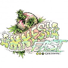 Amnesia Fast Feminised Seeds Amnesia Fast Feminised Seeds