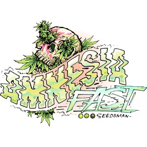 Amnesia Fast Feminised Seeds Amnesia Fast Feminised Seeds
