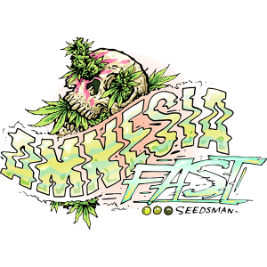 Amnesia Fast Feminised Seeds Amnesia Fast Feminised Seeds