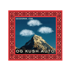 OG Kush Auto Feminised Seeds OG Kush Auto Feminised Seeds