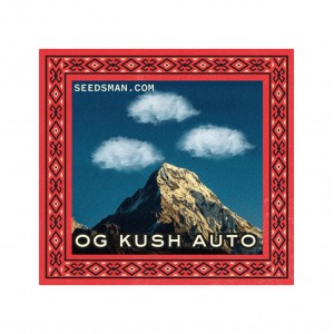OG Kush Auto Feminised Seeds OG Kush Auto Feminised Seeds