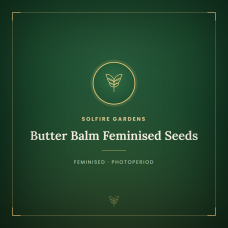 Butter Balm Feminised Seeds Butter Balm Feminised Seeds