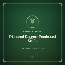 Diamond Daggers Feminised Seeds Diamond Daggers Feminised Seeds
