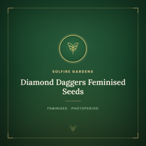 Diamond Daggers Feminised Seeds Diamond Daggers Feminised Seeds