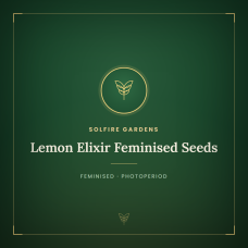 Lemon Elixir Feminised Seeds Lemon Elixir Feminised Seeds