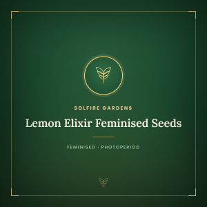 Lemon Elixir Feminised Seeds Lemon Elixir Feminised Seeds