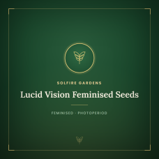 Lucid Vision Feminised Seeds Lucid Vision Feminised Seeds