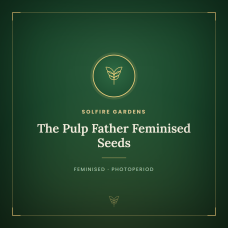 The Pulp Father Feminised Seeds The Pulp Father Feminised Seeds