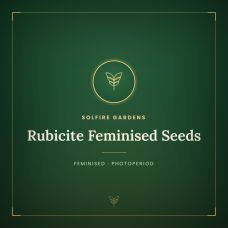 Rubicite Feminised Seeds Rubicite Feminised Seeds