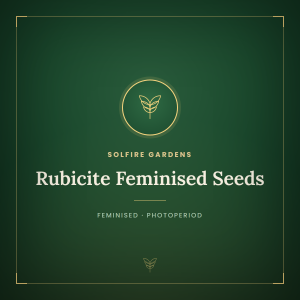 Rubicite Feminised Seeds Rubicite Feminised Seeds