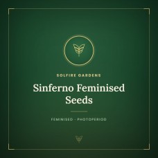 Sinferno Feminised Seeds Sinferno Feminised Seeds