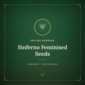 Sinferno Feminised Seeds Sinferno Feminised Seeds