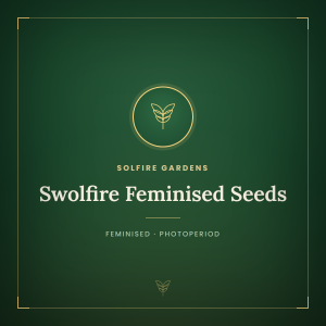 Swolfire Feminised Seeds Swolfire Feminised Seeds