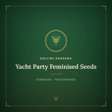Yacht Party Feminised Seeds Yacht Party Feminised Seeds