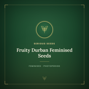 Fruity Durban Feminised Seeds Fruity Durban Feminised Seeds